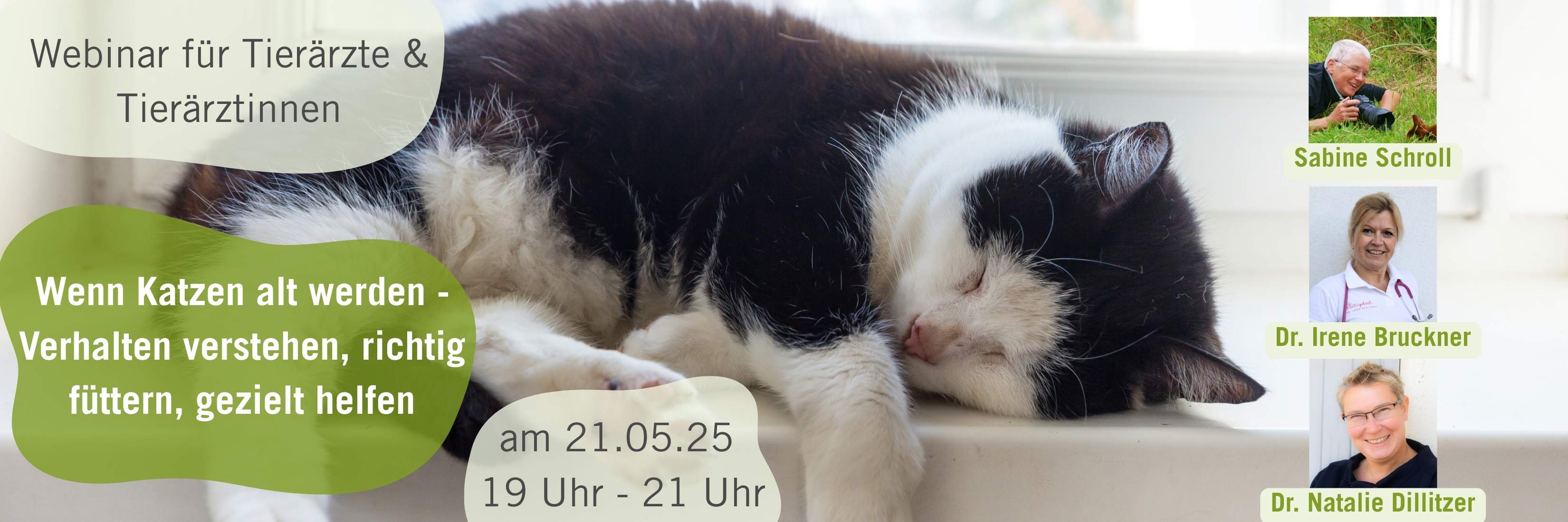 Webinar Seniorkatze - Verhalten und Fütterung" 21.05.25